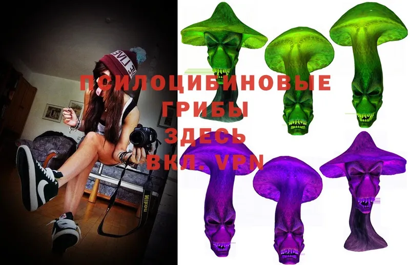 Псилоцибиновые грибы MAGIC MUSHROOMS  Знаменск 